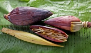 BANANA FLOWER3