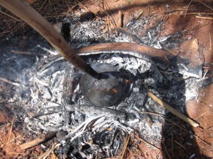 BURNED COCONUT LEAVES