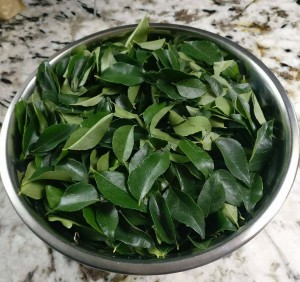 CURRY LEAVES3