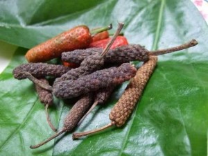 LONG PEPPER3