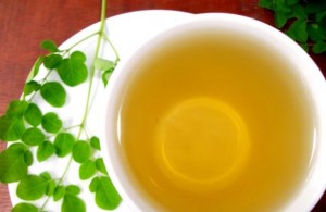 MORINGA TEA