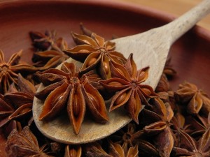 STAR ANISE4