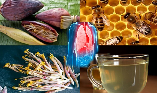 វិធីព្យាបាលជំងឺរោគរបេង! KHMER NATURAL REMEDY FOR TUBERCULOSIS
