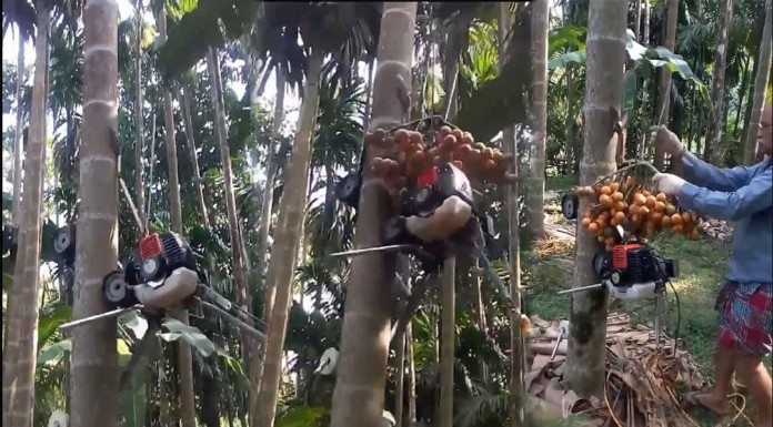 (Video)បើបងប្អូនមានម៉ាស៊ីនបេះផ្លែឈើមួយនេះប្រើច្បាស់ជាចំណេញបានច្រើននិងសុវត្តិភាព