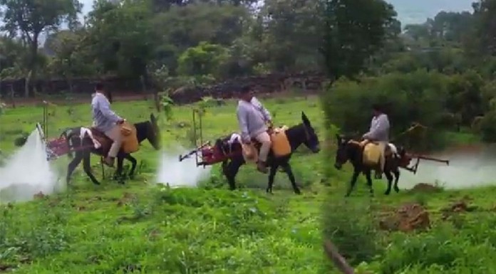 (Video)ឧបករណ៍បាញ់ថ្នាំដំណាំផ្សេងៗបង្កើតឡើងដោយគំនិតច្នៃប្រឌិត