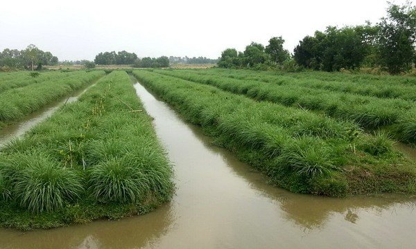 19029597_1314410555278636_8937236270186114461_n