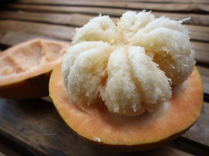 19399296_1710281549265625_3189651057627516999_n