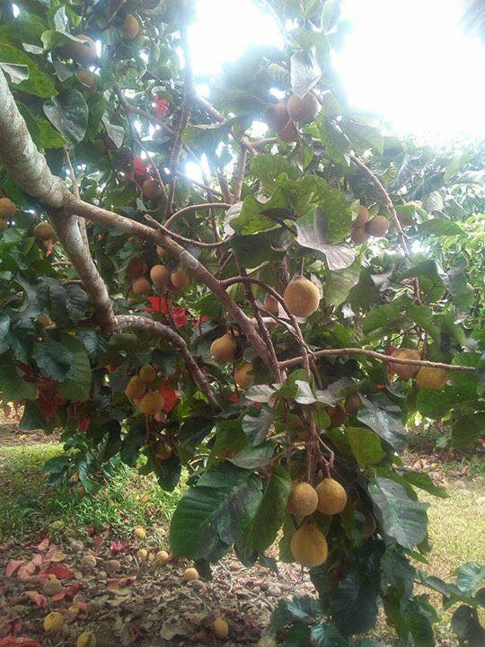 19399516_1710281825932264_4626723121875376921_n