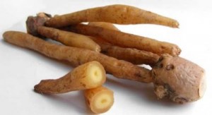 20292955_1418032474948383_7626887025920580514_n