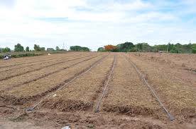 21032700_1381210025265355_3807794365427397778_n