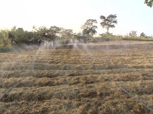 21077345_1381210128598678_4519554481713622589_n