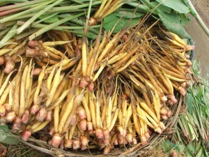 21078536_1381210201932004_2761292909821342845_n