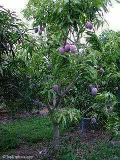 22140937_354021588383289_1601744972792584534_n