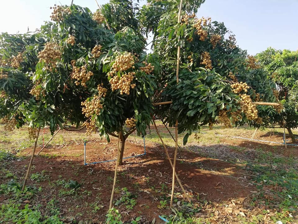 28055683_1683658895060228_6891275783208973863_n