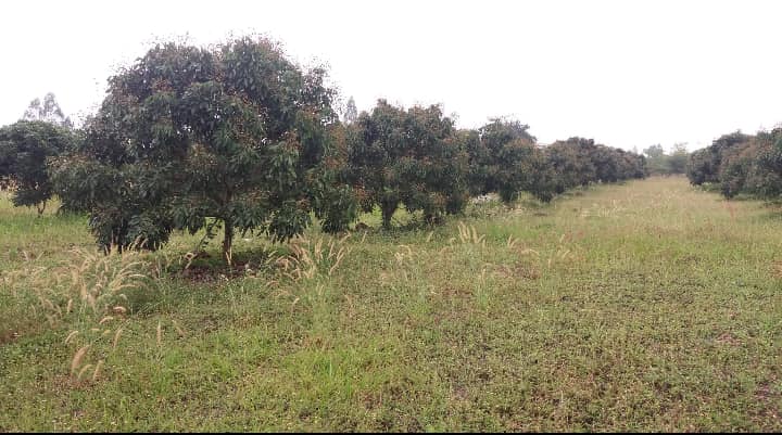 28055690_1683658678393583_7205380850477671708_n