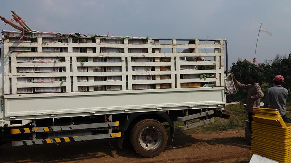 28168251_1683658978393553_5729668964502011460_n