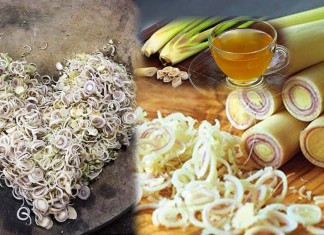 អត្ថប្រយោជន៍ដ៏ច្រើនមហិមារបស់ស្លឹកគ្រី