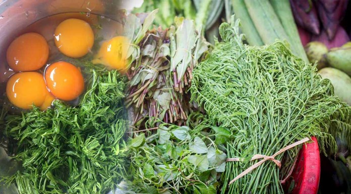 អត្ថប្រយោជន៍ជាច្រើន របស់ស្អំ ដែលបងប្អូនមិនធ្លាប់បានដឹងពីមុនមក