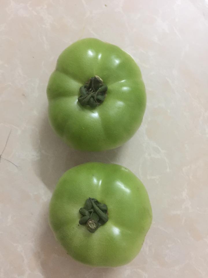 27545012_2112416885654528_7036504112699203879_n