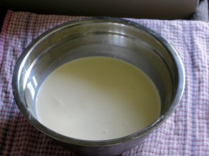 BOWL OF MILK