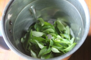 CURRY LEAVES IN BLENDER