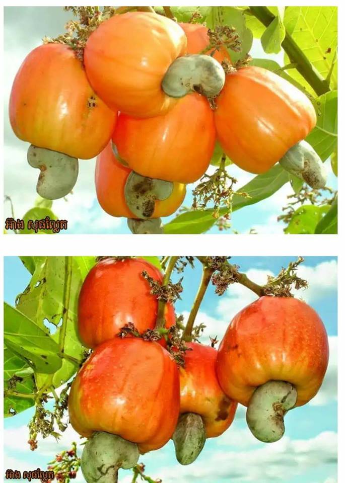 28167731_147212609292152_7260215377610841359_n