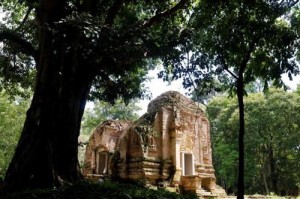 6-10-07-2017--11-12-26