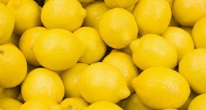 LEMON16