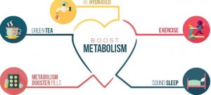 METABOLISM