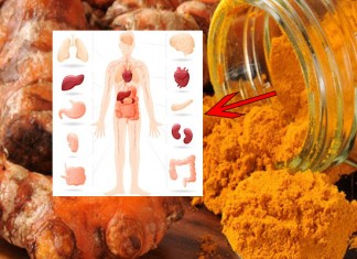 សាកផឹកទឹករមៀតហើយមើលតើមានអ្វីកើតឡើង?? WHAT HAPPENS TO YOUR BODY WHEN YOU DRINK TURMERIC WATER??