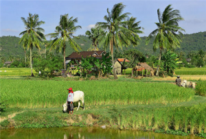 63-21-10-2014--14-51-56