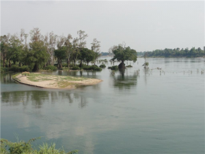 eba9ebec-dc92-4daa-ab73-06e644d319ec-22-07-2014--09-46-22