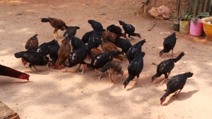 162721ngxg7sa65x5q5dq5