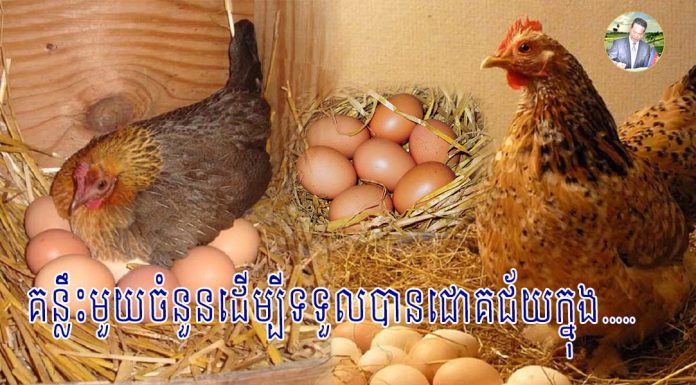 គន្លឹះមួយចំនួនដើម្បីទទួលបានជោគជ័យក្នុងផលិតកម្មស៊ុត