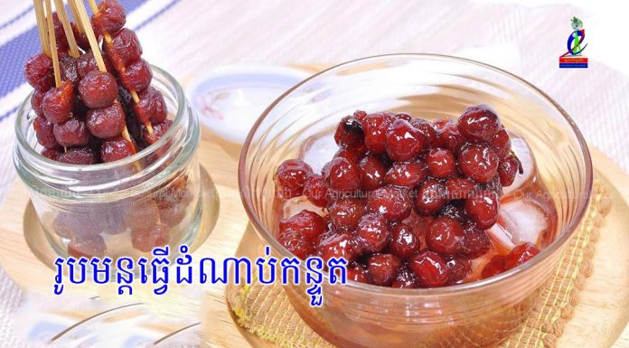 រូបមន្តធ្វើដំណាប់កន្ទួត (មានវីដេអូ)