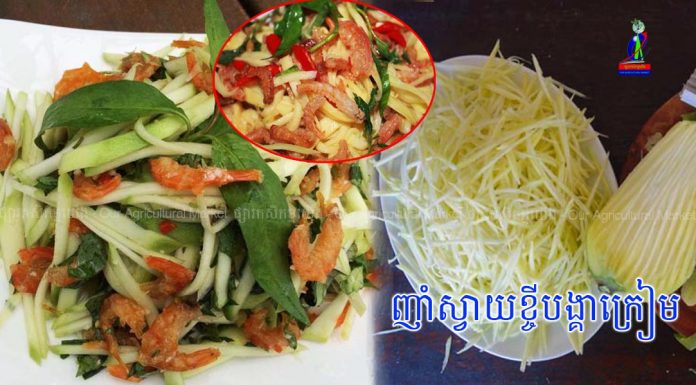 ញាំស្វាយខ្ចីបង្គាក្រៀម ឆ្ងាញ់មិនធម្មតាទេ!