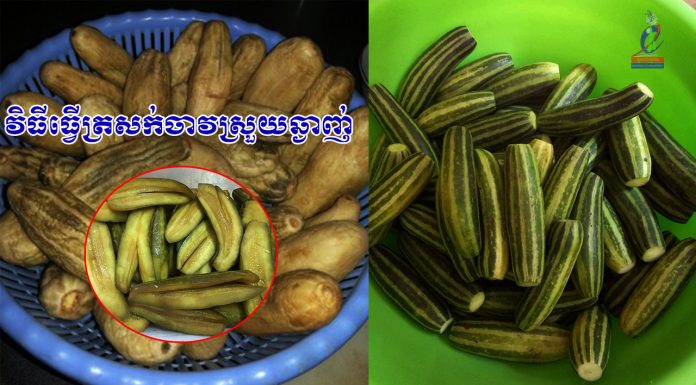 វិធីធ្វើត្រសក់ចាវស្រួយឆ្ងាញ់