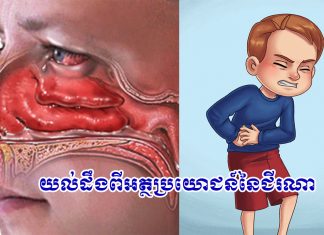 យល់ដឹងពីអត្ថប្រយោជន៍នៃជីរណា!!