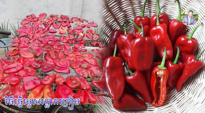 វិធីធ្វើម្ទេសប្លោកក្រៀម