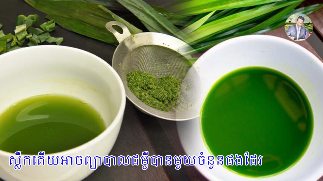 ស្លឹកតើយអាចព្យាបាលជម្ងឺបានមួយចំនួនផងដែរ