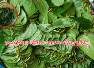 តោះចង់ដឹងទេថា! ម្លូជួយព្យាបាលជំងឺ និងមានគុណប្រយោជន៍ចំពោះសុខភាពដ៏អស្ចារ្យយ៉ាងណានោះ