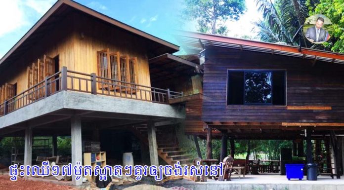 ផ្ទះឈើ១៧ម៉ូតស្អាតៗគួរឲ្យចង់រស់នៅ